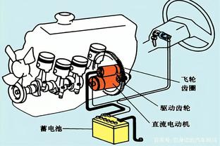Số lượng rùa biển mẹ về Vườn Quốc gia Côn Đảo làm tổ tăng cao -1